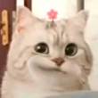 ͷ