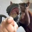 ͷ��