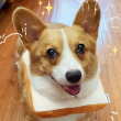 ͷ��