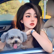 ͷ��