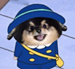 ͷ