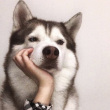 ͷ��