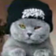 ͷ