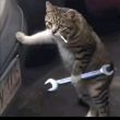 ͷ��