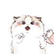 ͷ