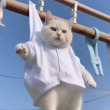 ͷ��