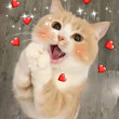 ͷ