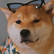 ͷ