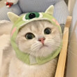 ͷ