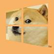 ͷ