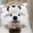 ͷ��