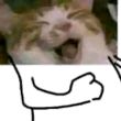 ͷ��