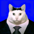 ͷ��