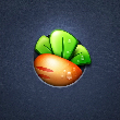 ͷ