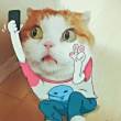 ͷ