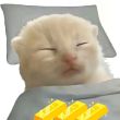 ͷ��