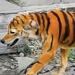 ͷ��