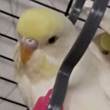 ͷ