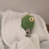 ͷ��