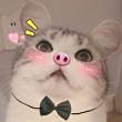 ͷ