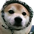 ͷ