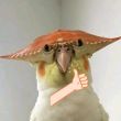 ͷ��
