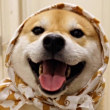 ͷ