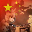 ͷ��
