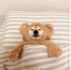 ͷ��