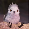 ͷ