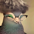ͷ��