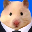 ͷ