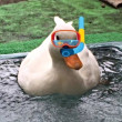 ͷ