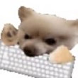 ͷ