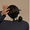 ͷ