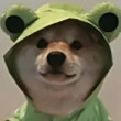 ͷ