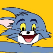 ͷ��