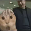 ͷ��
