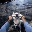 ͷ��