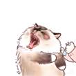 ͷ