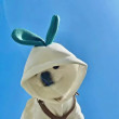 ͷ