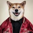 ͷ��