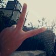 ͷ��