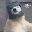 ͷ��