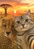 ͷ��