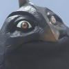 ͷ��