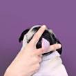 ͷ