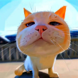 ͷ��