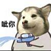 ͷ