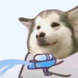 ͷ��